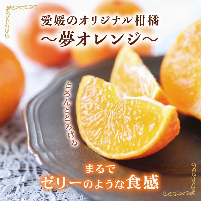 【訳あり】 みかん職人の夢おれんじ 小粒っ子 3kg 【発送期間：11月中旬～1月下旬】 みかん オレンジ 愛果28号 紅マドンナ と同品種 紅まどんな と同品種 柑橘 果物 果実 フルーツ かんきつ デザート ミカン 夢オレンジ 訳あり 訳アリ わけあり 期間限定 数量限定 年末 年始 愛媛県 愛南町 みかん職人武田屋