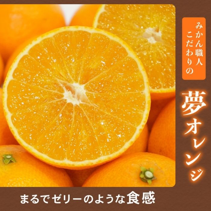 【訳あり】 みかん職人の夢おれんじ 小粒っ子 3kg 【発送期間：11月中旬～1月下旬】 みかん オレンジ 愛果28号 紅マドンナ と同品種 紅まどんな と同品種 柑橘 果物 果実 フルーツ かんきつ デザート ミカン 夢オレンジ 訳あり 訳アリ わけあり 期間限定 数量限定 年末 年始 愛媛県 愛南町 みかん職人武田屋