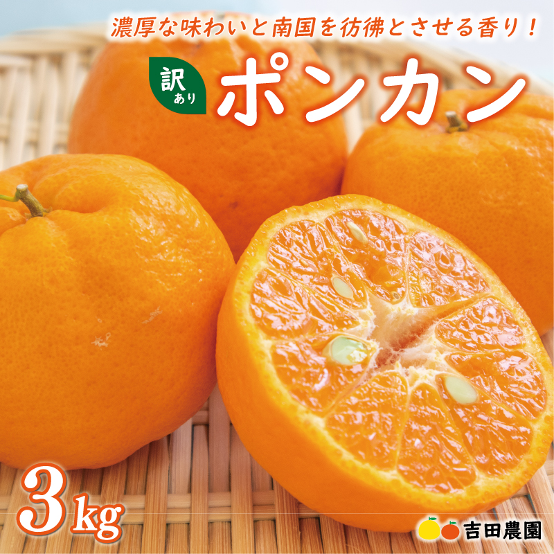【先行予約】 数量限定  お試し用 訳あり ポンカン 3kg 7000円 みかん mikan 蜜柑 ミカン わけあり ぽんかん 産地直送 国産 農家直送 糖度 期間限定 特産品 ゼリー ジュース アイス 冷凍 みかん 等に 人気 限定 甘い フルーツ 果物 柑橘 ジューシー 小玉 含む 規格外 サイズ ミックス お試し 試供品 お試し品 少量 吉田農園 愛南町 愛媛県