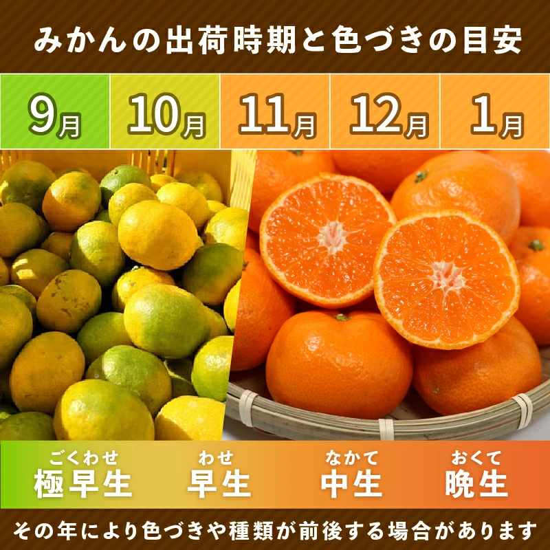 【先行予約】訳あり 愛媛みかん 小玉 5kg 傷み補償 250g 増量 発送期間 2026年11月上旬以降 みかん 愛媛みかん 温州みかん 南柑20号 柑橘 蜜柑 かんきつ 冬 秋 旬 正月 愛媛 愛媛県 愛南町 お歳暮 プレゼント くだもの 果物 フルーツ スイーツ おやつ お菓子 和菓子 甘い 糖度 オレンジ 冷凍 みかん ジュース 清家ばんかんビレッジ
