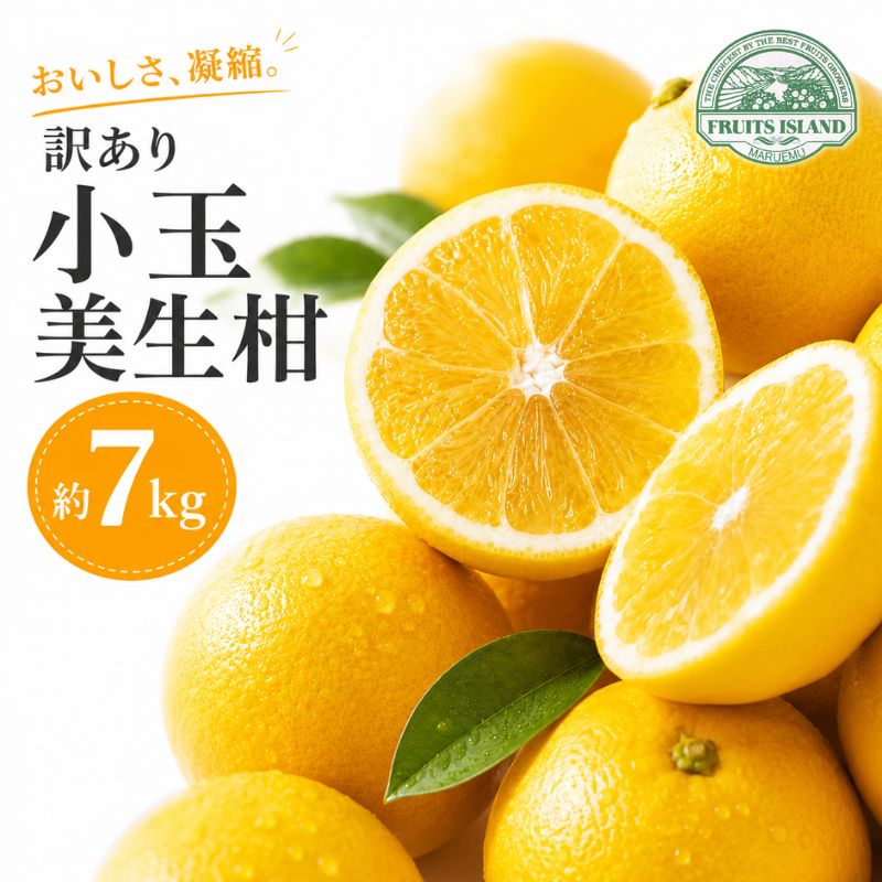 【先行予約】 訳あり 小玉 美生柑 約7kg 河内晩柑 ばんかん 愛媛 みかん 小粒  柑橘 フルーツ 果物 くだもの 果実 夏 文旦 晩生柑  蜜柑 mikan わけあり 傷 規格外 愛南 ご当地 ブランド 国産 産地 直送 ゼリー マーマレード デザート フルーツアイランド マルエム直販 愛媛県 愛南町