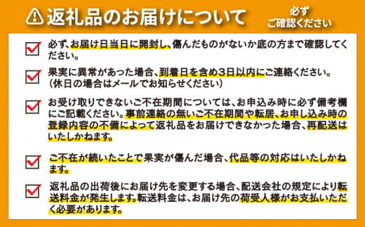 【先行予約：2027年度2月上旬～ 】訳あり 土佐文旦 7kg みかん 蜜柑 文旦 ぶんたん 柑橘 果物 フルーツ ゼリー  ジュース アイス 国産 愛媛県 愛南町青果市場 発送:2月上旬～(なくなり次第終了)