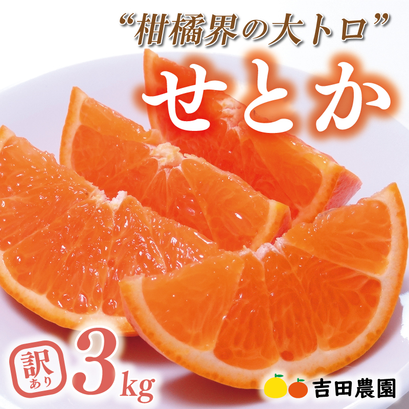 【先行予約】数量限定  訳あり せとか 3kg みかん 家庭用 サイズミックス 14000円 高級 人気 ブランド プレミアム 柑橘 果物 フルーツ 期間限定 産地直送 国産 農家直送 わけあり 特産品 お取り寄せ mikan 蜜柑 ミカン オレンジ スマイルカット ビタミン 甘い おいしい 大トロ 不揃い 吉田農園 愛南町 愛媛県
