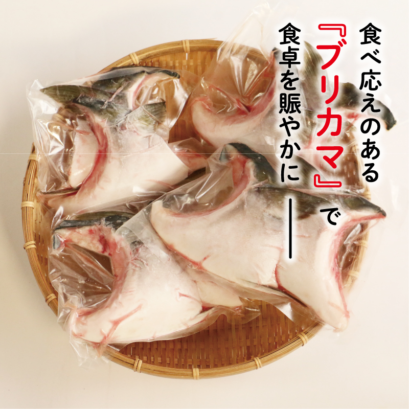 ブリカマ 2切れ × 4パック 10000円 冷凍 サイズ 不揃い ぶりかま ぶりカマ 鰤かま 少額 食べ物 旬 お手軽 魚海鮮 魚介 父の日 小分け 真空 パック 新鮮 鮮魚 養殖 国産 鰤 ぶり ブリ お取り寄せ ギフト プレゼント おつまみ アテ おかず カマ 塩焼き 煮物 あらだき あら煮 肉 厚 規格外 人気 ハマスイ 愛南町 愛媛県