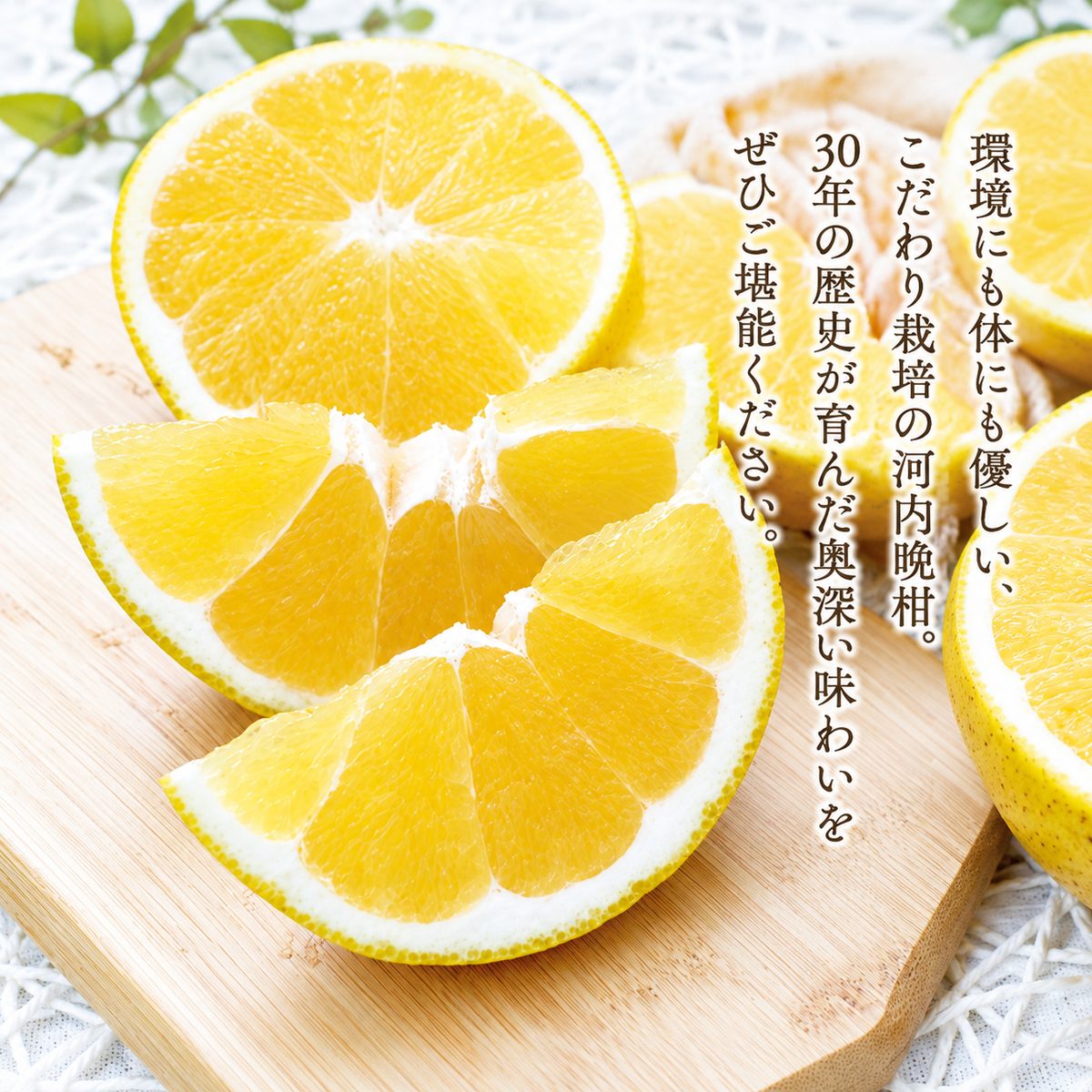 【先行予約】【数量限定】 河内晩柑 樹齢 30年以上 ちびっこ 8kg （ 2S ・ Sサイズ ）