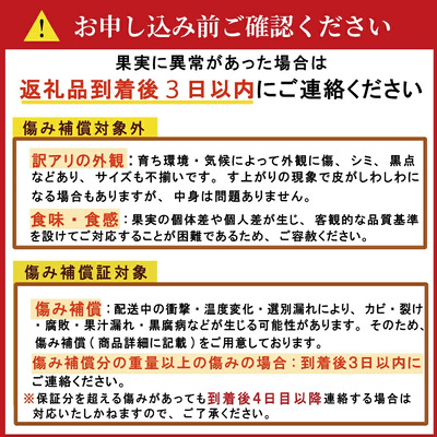 【先行予約：2026年12月中旬～発送】 訳あり 土佐 文旦 8kg (Mサイズ以上サイズミックス) 8000円 わけあり ぶんたん みかん mikan 蜜柑 ミカン 土佐文旦 家庭用 産地直送 国産 農家直送 期間限定 特産品 サイズミックス くらもとファーム 愛南町 愛媛県