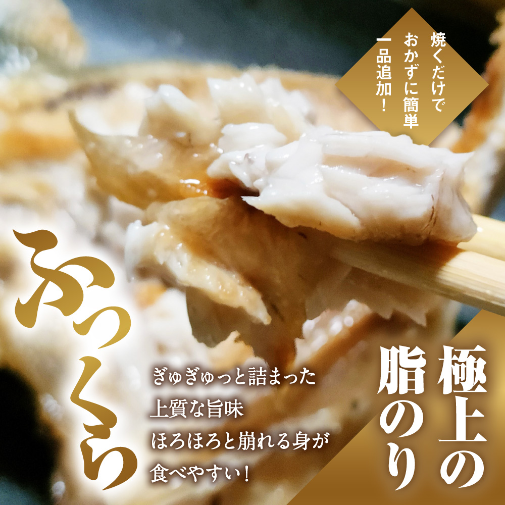 数量限定 ブリカマ 2.5kg 10000円 冷凍 サイズ 不揃い ぶりかま ぶりカマ 鰤かま 食べ物 旬 お手軽 魚海鮮 魚介 父の日 小分け 真空 パック 新鮮 鮮魚 養殖 国産 鰤 ぶり ブリ お取り寄せ ギフト プレゼント おつまみ アテ おかず カマ 塩焼き 煮物 あらだき あら煮 肉 厚 規格外 人気 ハマスイ 愛南町 愛媛県