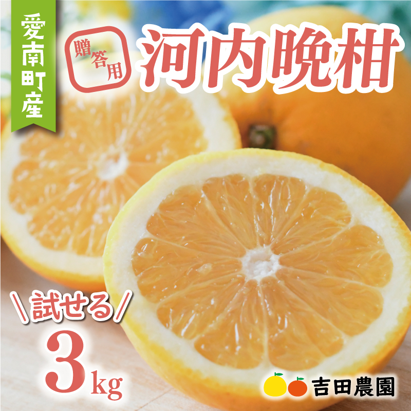 【先行予約】 贈答用 河内晩柑 3kg 7000円 みかん かわちばんかん 愛南ゴールド あいなん ゴールド 夏 文旦 和製 グレープフルーツ 家庭用 産地直送 国産 農家直送 期間限定 ビタミン 健康 おいしい 特産品 ゼリー ジュース アイス 等に 人気 限定 さわやか 甘い フルーツ 果物 柑橘 mikan 蜜柑 ミカン ギフト プレゼント おすそわけ お試し 吉田農園 愛南町 愛媛県