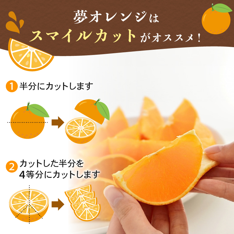 【訳あり】 みかん職人の夢おれんじ 5kg【発送期間：2025年11月中旬～1月下旬】 みかん オレンジ 愛果28号 紅マドンナ と同品種 紅まどんな と同品種 柑橘 果物 果実 フルーツ かんきつ デザート ミカン 夢オレンジ 訳あり 訳アリ わけあり 期間限定 数量限定 年末 年始 愛媛県 愛南町 みかん職人武田屋