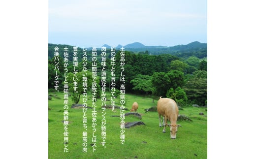 創業50年老舗レストランの幻の和牛あかうしハンバーグ120g×2コ（ソース無し）人気惣菜 数量限定 牛肉 豚肉 故郷納税 焼くだけ 溢れる肉汁 土佐あか牛 ハンバーグ 小分け 緊急支援品