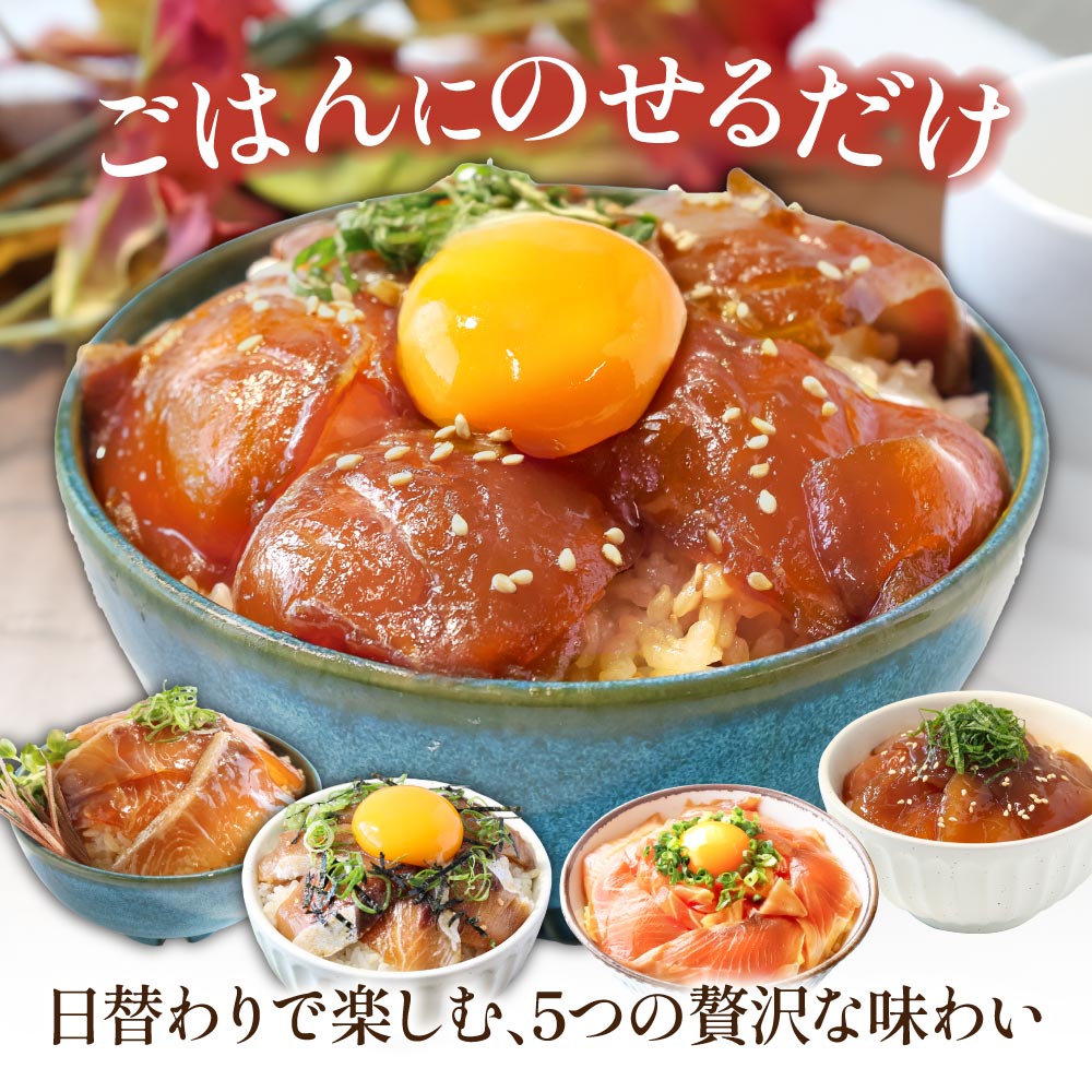 漬け丼5種セット 真鯛・ブリ・カンパチ・マグロ・サーモン 1食80g×計10P タイ 鰤 鮪 海鮮丼 刺身 海鮮 魚介 魚 お茶漬け 炊き込みご飯 惣菜 おかず 冷凍 配送