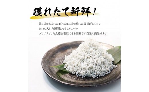 高知県産釜揚げしらす（50g×8パック）シラス 小分け 国産 無添加 釜揚げ しらす丼 海鮮丼 ゆずつき お茶漬け ごはん 軍艦巻き 寿司 8人前 冷凍 高知県 返礼品 7000円