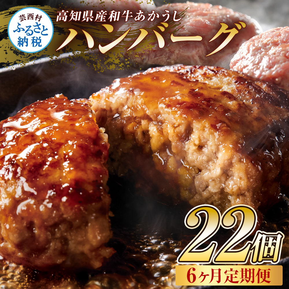 創業50年老舗レストランの幻の和牛あかうしハンバーグ120g×22ケ 6ヶ月定期便 土佐あかうし 美鮮豚 牛肉 高級 ハンバーグ 冷凍 美味しい 肉汁ハンバーグ 焼くだけ 小分け 個包装 高級 国産 定期便