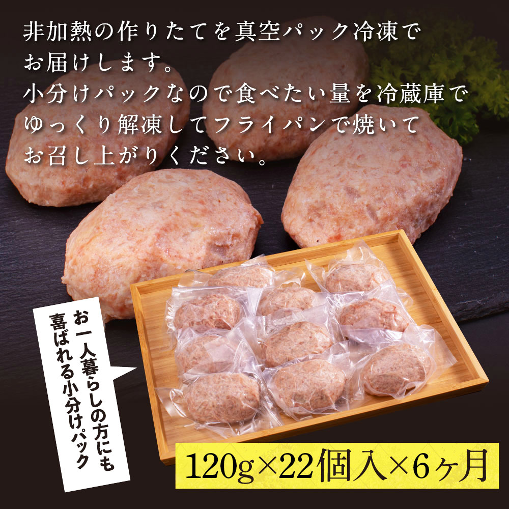 創業50年老舗レストランの幻の和牛あかうしハンバーグ120g×22ケ 6ヶ月定期便 土佐あかうし 美鮮豚 牛肉 高級 ハンバーグ 冷凍 美味しい 肉汁ハンバーグ 焼くだけ 小分け 個包装 高級 国産 定期便