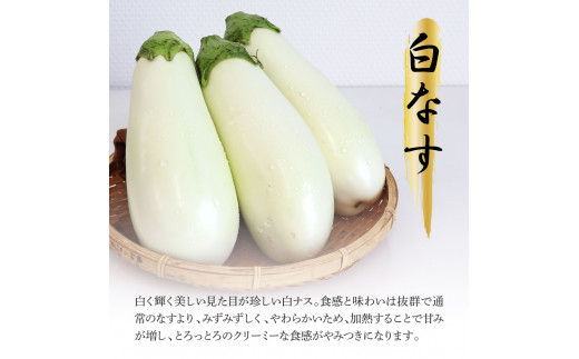 食べ比べ！白と黒のナスセット 黒ナス8本 白ナス4本 なす 茄子 黒なす 白なす 焼き茄子 煮浸し 漬物 浅漬け 味噌汁 おかず 野菜 常温 配送 国産