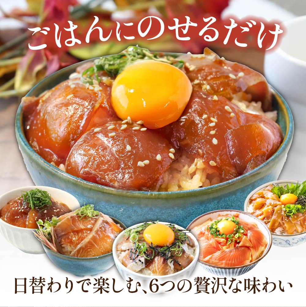 漬け丼6種セット 真鯛・ブリ・カンパチ・マグロ・サーモン・イカ 1食80g×計6P タイ 鰤 鮪 海鮮丼 刺身 海鮮 魚介 魚 お茶漬け 炊き込みご飯 惣菜 おかず 冷凍 配送