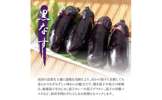 食べ比べ！白と黒のナスセット 黒ナス8本 白ナス4本 なす 茄子 黒なす 白なす 焼き茄子 煮浸し 漬物 浅漬け 味噌汁 おかず 野菜 常温 配送 国産