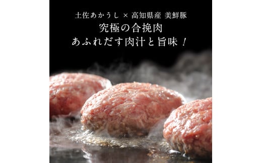 創業50年老舗レストランの幻の和牛あかうしハンバーグ120g×11ケ 6ヶ月定期便 土佐あかうし 美鮮豚 牛肉 高級 ハンバーグ 冷凍 美味しい 肉汁ハンバーグ 焼くだけ 小分け 個包装 高級 国産 定期便