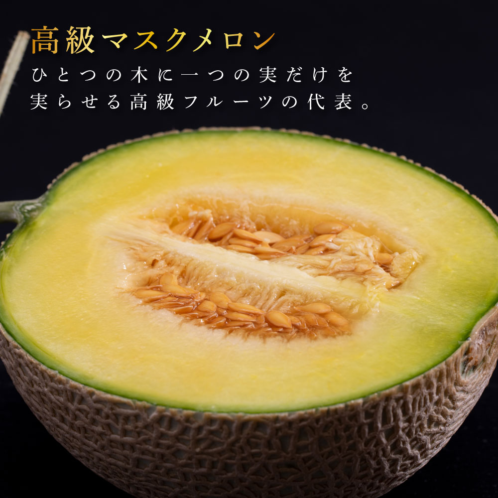 緊急支援　高知県産 高級マスクメロン（ご家庭用）2玉入〈南国市共通返礼品〉【発送期間：4月〜12月（9カ月）】【1月〜3月は気候温度不安定の為出荷不可となります。】