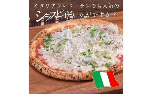 訳あり釜揚げシラス400g×4個 高知県産 釜揚げしらす 簡易梱包 わけあり 不揃い シラス 国産 釜揚げ 新鮮 しらす丼 海鮮丼 お茶漬け 冷凍配送 塩分控えめ お取り寄せ