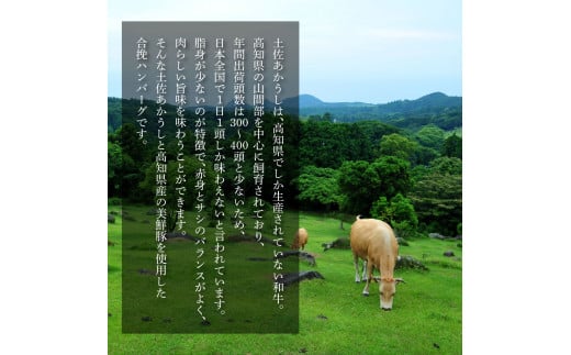 創業50年老舗レストランの幻の和牛あかうしハンバーグ120g×11ケ 6ヶ月定期便 土佐あかうし 美鮮豚 牛肉 高級 ハンバーグ 冷凍 美味しい 肉汁ハンバーグ 焼くだけ 小分け 個包装 高級 国産 定期便