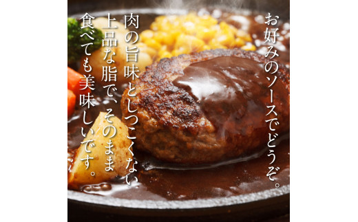 創業50年老舗レストランの幻の和牛あかうしハンバーグ120g×5コ（ソース無し）人気惣菜 数量限定 牛肉 豚肉 故郷納税 9000円 焼くだけ 溢れる肉汁 土佐あか牛 ハンバーグ 小分け 緊急支援品