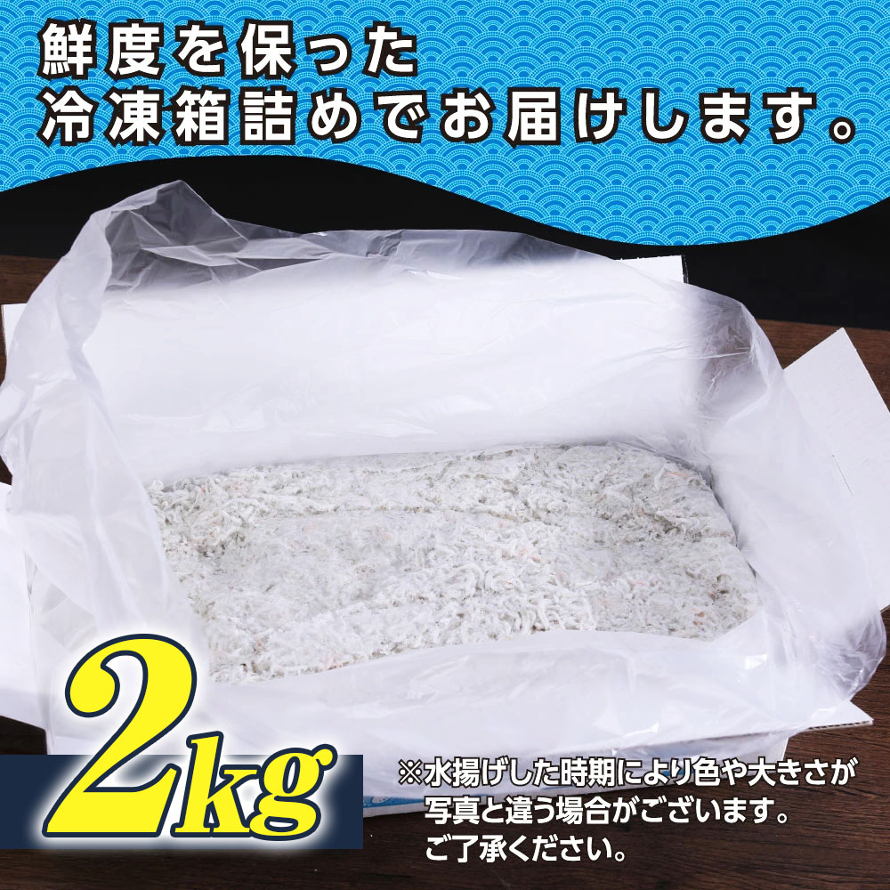 訳あり釜揚げシラス2kg 高知県産 釜揚げしらす 簡易梱包 わけあり 不揃い シラス 国産 釜揚げ 新鮮 しらす丼 海鮮丼 お茶漬け 冷凍配送 塩分控えめ お取り寄せ