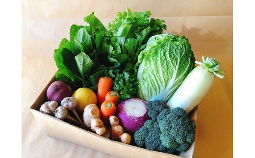 越知産市の季節の野菜セット(年6回発送) 奇数月