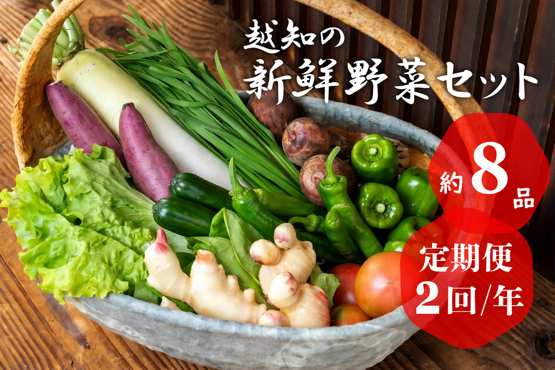越知産市の季節の野菜セット(年2回発送)