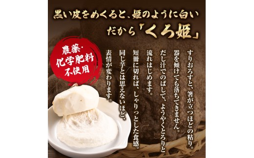 【予約受付】 すり下ろすとわかる粘りと白さ！四万十の山の芋・くろ姫　訳あり　2キロ／Org-10