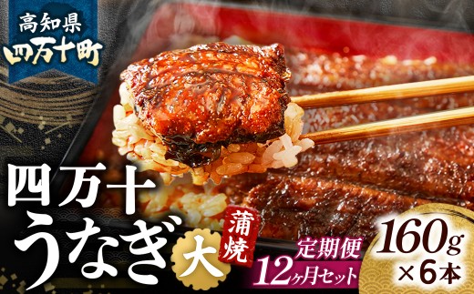 〈鰻大好き定期便〉 四万十うなぎ 蒲焼き ≪大≫（160g x 6本）12カ月セット 国産 ／Resu-A07