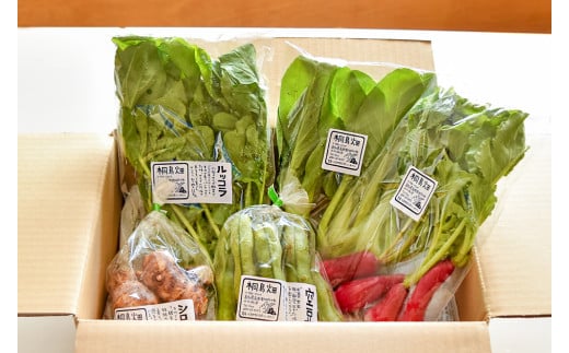 【栽培期間中、農薬・化学肥料不使用】】桐島畑の季節野菜詰め合わせ(5種類)(定期便12か月コース)／Rfkh-B02