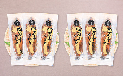 〈鰻大好き定期便〉 四万十うなぎ 蒲焼き ≪大≫（160g x 6本）6カ月セット 国産／Sesu-A06