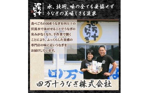 四万十うなぎ 藁焼き 白焼き 蒲焼きセット（140gx2尾） 国産 ／Esu-A107