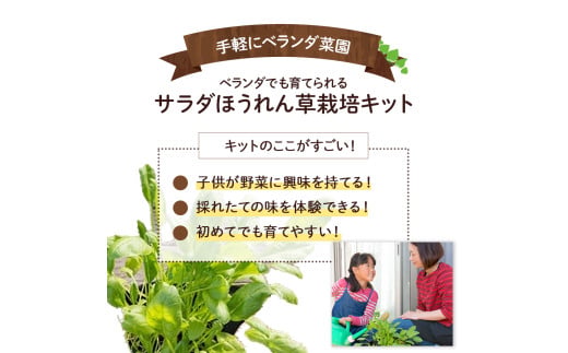 ベランダでも育てられるサラダほうれん草栽培キット／Fis-C06