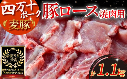 農林水産大臣賞受賞の「四万十ポーク」平野協同畜産の「麦豚」焼き肉用（豚ロース肉1.1kg）／Ahc-A01
