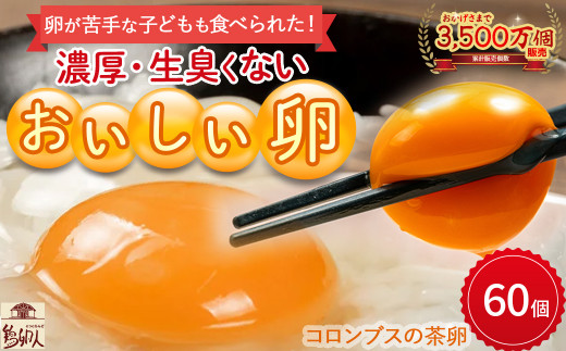 卵が苦手な子どもも食べられた！生臭くないおいしい卵 （10個入×6P）／Gbn-A59