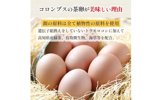 卵が苦手な子どもも食べられた！生臭くないおいしい卵 6個入×5P／Gbn-B03