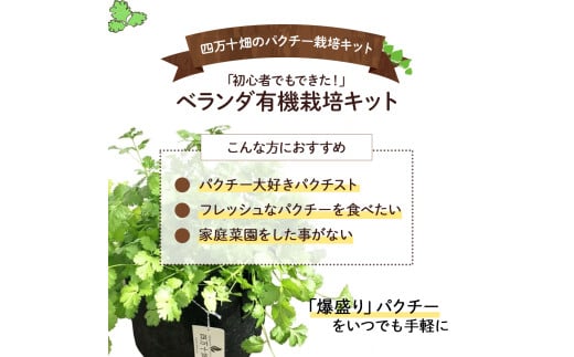 「パクチーを爆盛りたい！」ベランダ有機栽培キット「初心者でもできた！」／Fis-C01