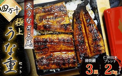 ドドドンと大うなぎ３尾！四万十の極上うな重セット ／Esg-A24