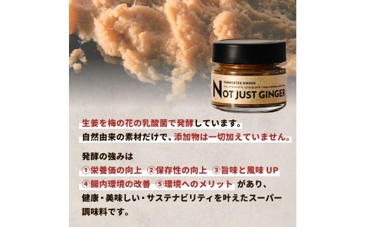 四万十生姜×特許乳酸菌 毎日続ける発酵生姜 「NOT JUST GINGER」／ Fnp-A03