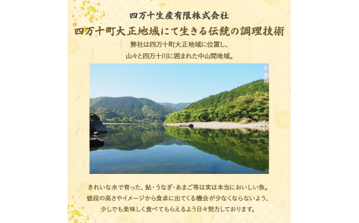 藁焼き かつおタタキ 2節セット（600g） わら焼き 6人前 高知 藁焼き 戻り鰹 鰹 船上凍結 鮮度良好 ポン酢付き タレ付き 四万十町 小分け 冷凍／Ess-A17