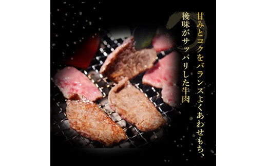 【定期便3回／隔月】四万十麦酒（ビール）牛。牛肉を焼肉用に厚切り。／Sasz-A01