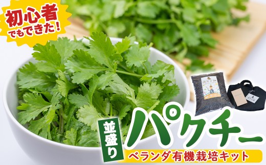 初心者も安心「並盛り」パクチー栽培キット／Fis-C05