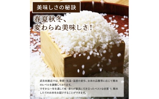 令和8年度産米 香ばしい香りに感動！幻の香る米5kg ／Btb-D13