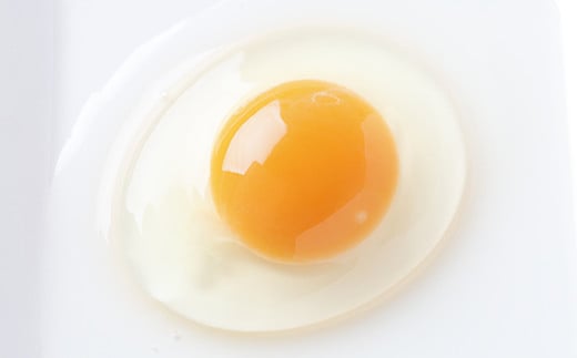 【ギフトカード】たまご農場直営スイーツ！こだわり卵の人気焼き菓子詰め合わせ／Gbn-A48