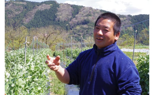 【栽培期間中、農薬・化学肥料不使用】】桐島畑の季節野菜詰め合わせ(5種類)(定期便12か月コース)／Rfkh-B02