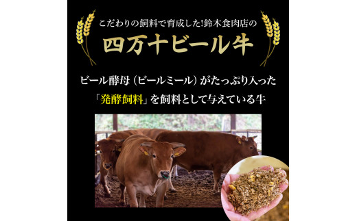 【定期便3回／隔月】四万十麦酒（ビール）牛。牛肉を焼肉用に厚切り。／Sasz-A01