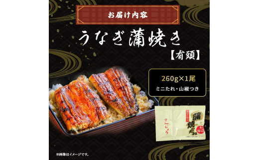 四万十うなぎ 蒲焼き (260gx1尾) 国産 ／Esu-A40 