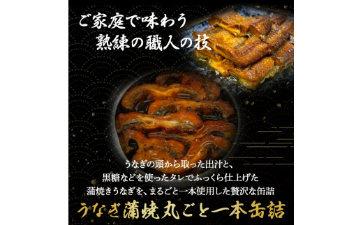 四万十うなぎ 蒲焼き 丸ごと一本缶詰【蒲焼缶詰 x 2本】 国産 ／Esu-A123